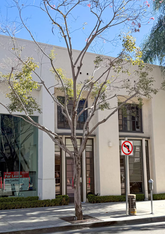 Prime Beverly Hills Pop Up Space Steps from Rodeo Drive