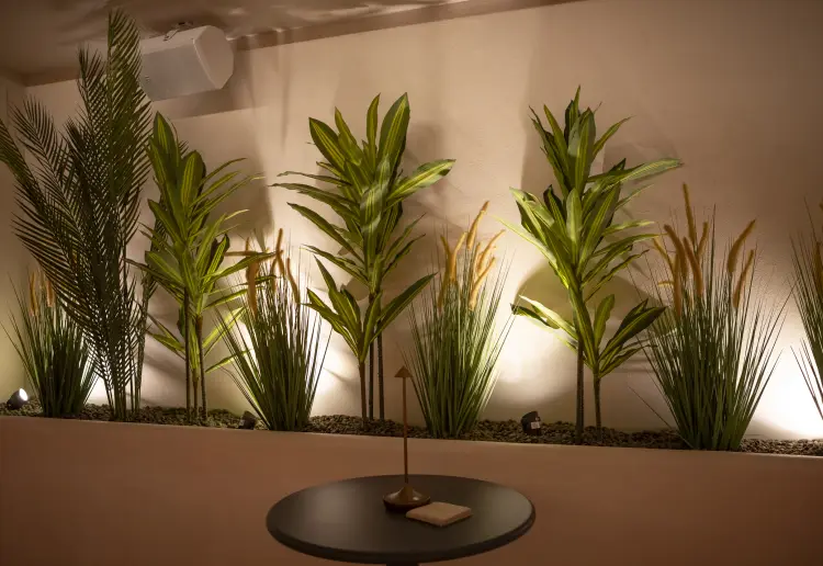 Singular Event Space in the Heart of Valencia
