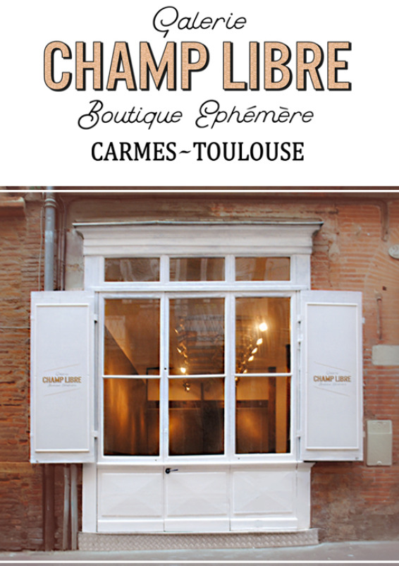 Galerie d'art & Pop-up Store  aux Carmes — Toulouse