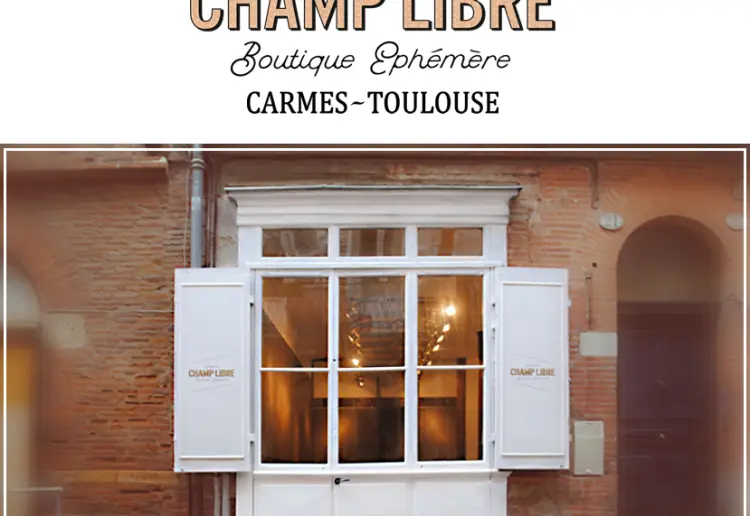 Galerie d'art & Pop-up Store  aux Carmes — Toulouse