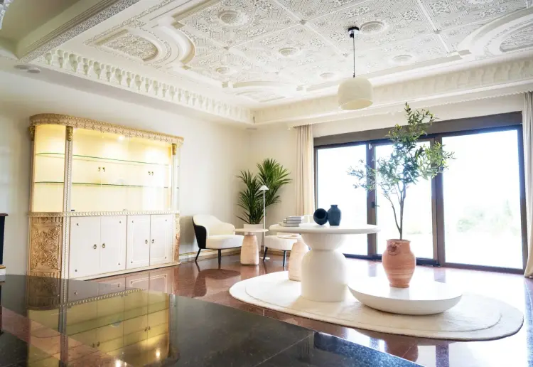 VILLA LUXURY MADRID