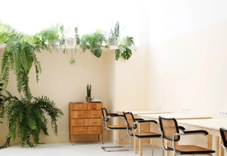 The CozyWarehouse