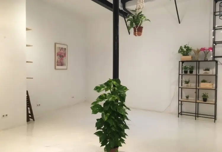 Escaparate Pop Up en Sevilla