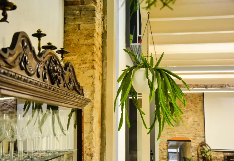 Beautiful space and front gallery to rent for events/ workshops/ conferences
