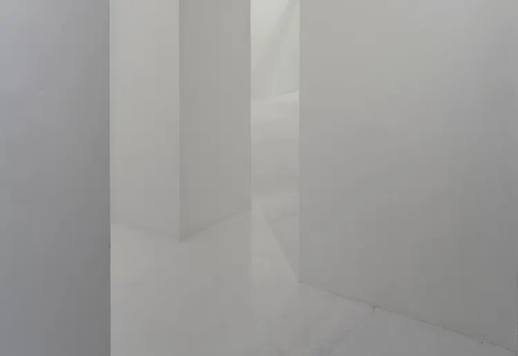 Back Gallery