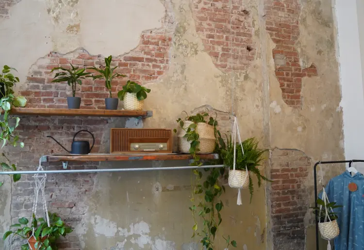 Island Studio