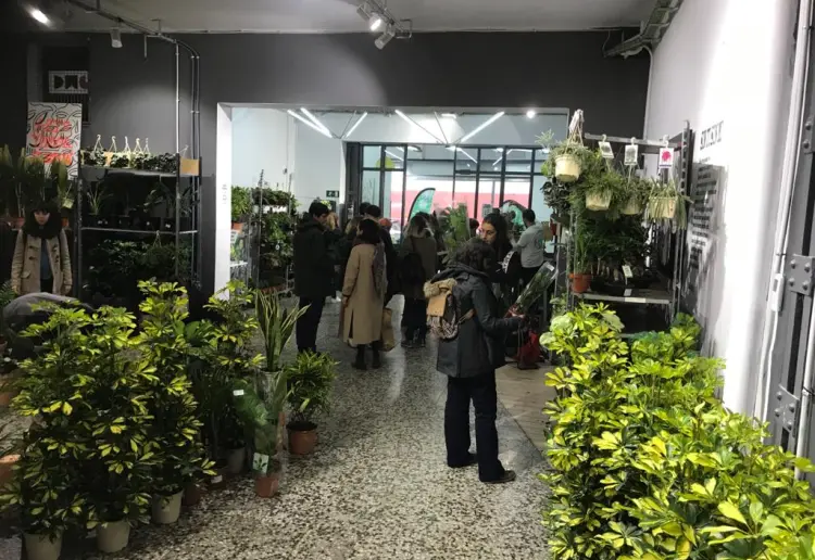 Espacio Multidisciplinario en Chueca Malasaña