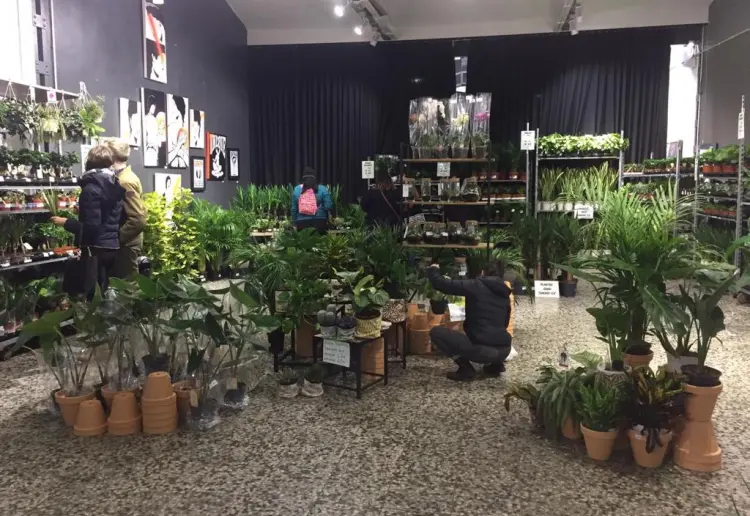 Espacio Multidisciplinario en Chueca Malasaña