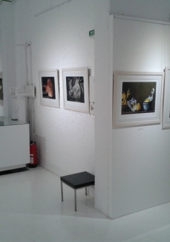 Moderna y elegante galería