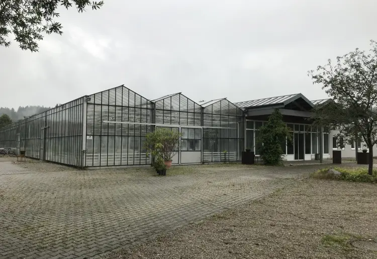 Im Glashaus