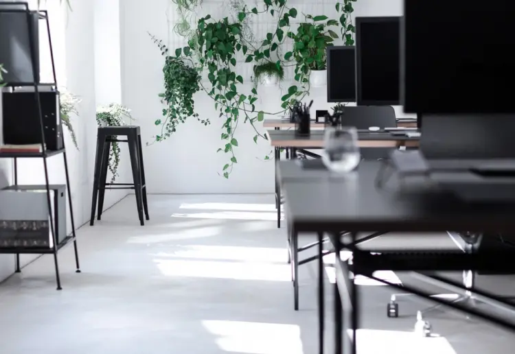 Renovated, modern and minimalist studio