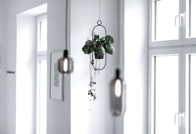 Renovated, modern and minimalist studio