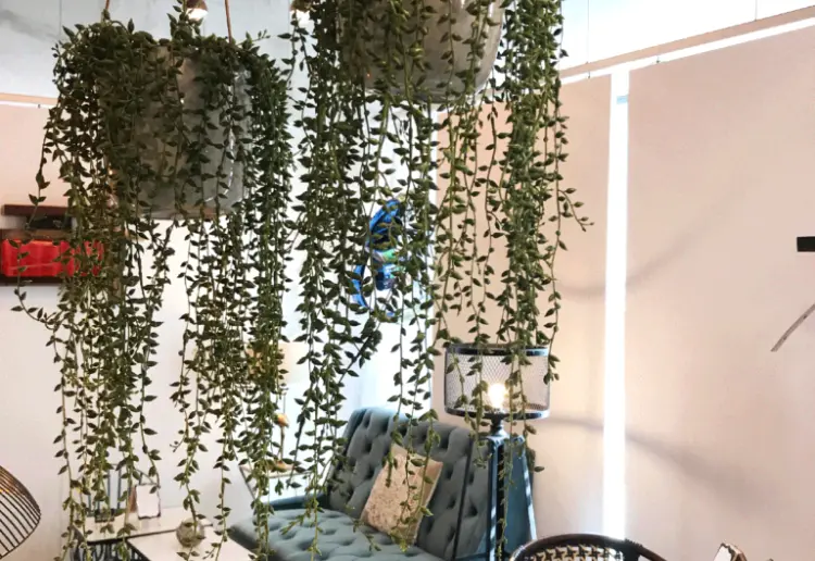 Reuniones en un espacio con encanto en Pozuelo de Alarcón