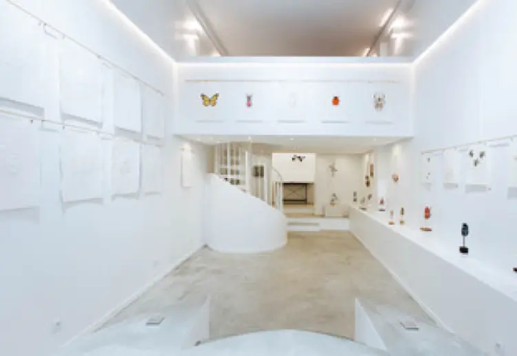 Ideal gallery for hosting your pop-ups