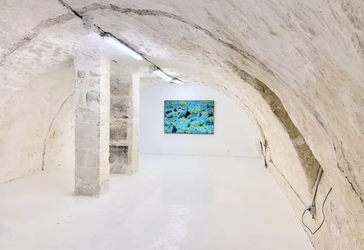 ART GALLERY TO RENT