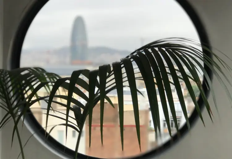 Loft 360 views
