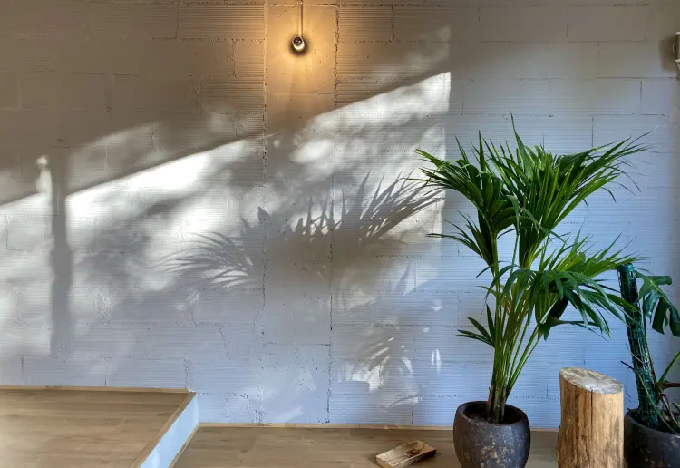YOGA STUDIO