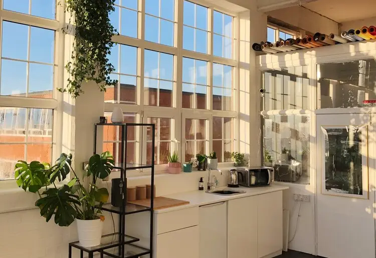 Natural Light Studio