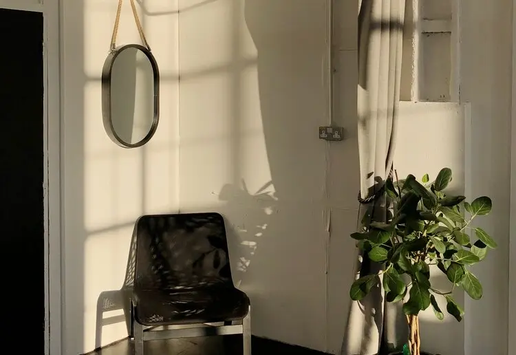 Natural Light Studio