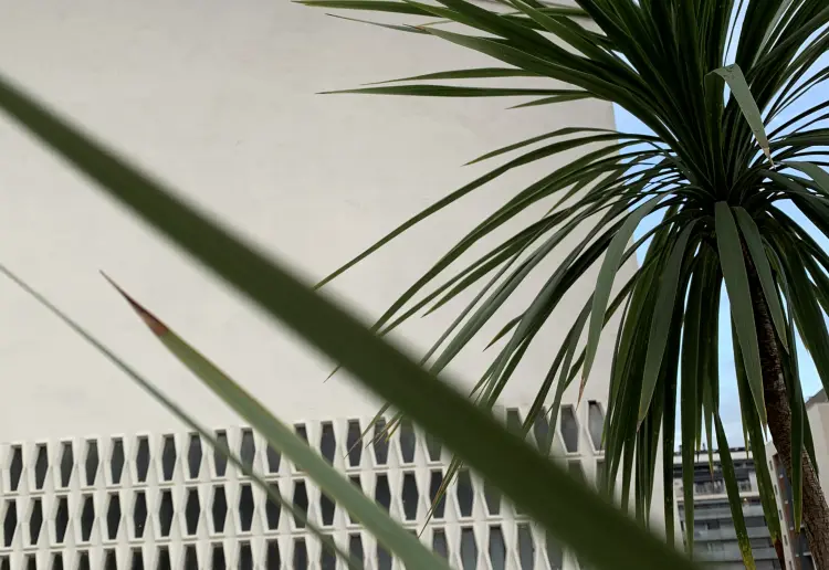 Terraza soleada