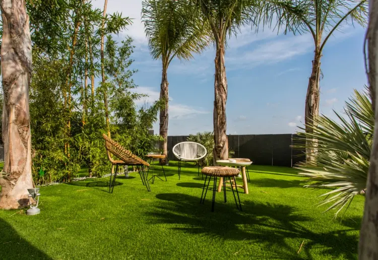 Área exterior con 1000m2 de jardín