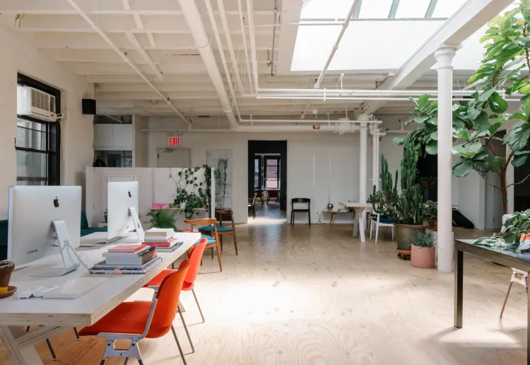 Open Airy 4-in-1 in Chinatown: Yellow Couch Room