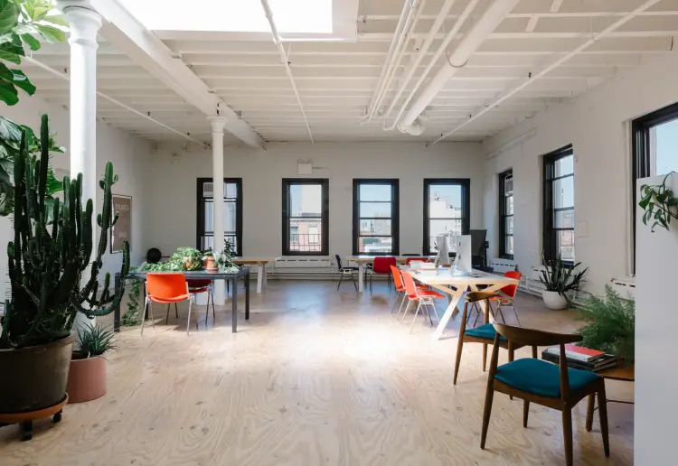 Open Airy 4-in-1 in Chinatown: Yellow Couch Room