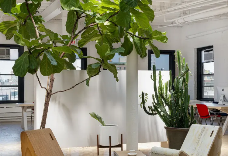 Open Airy 4-in-1 in Chinatown: Yellow Couch Room