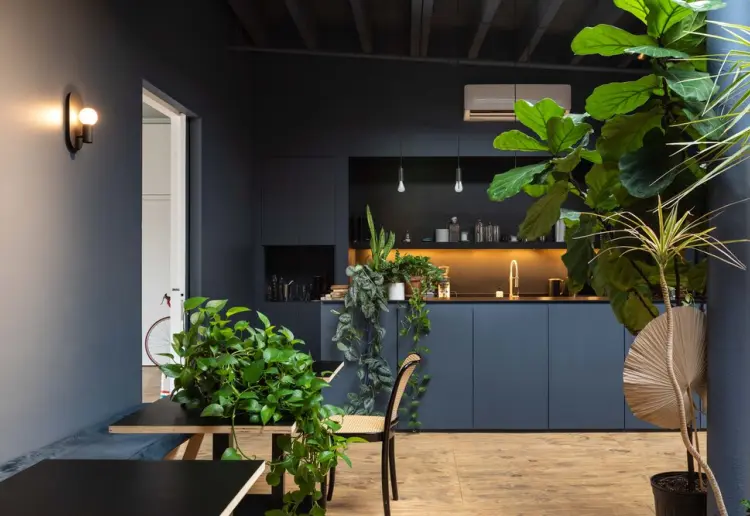 Open Airy 4-in-1 Chinatown:  Blue Cafe with Skylights