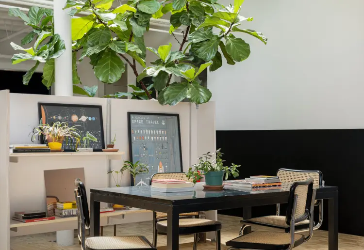 Open Airy 4-in-1 Chinatown:  Blue Cafe with Skylights