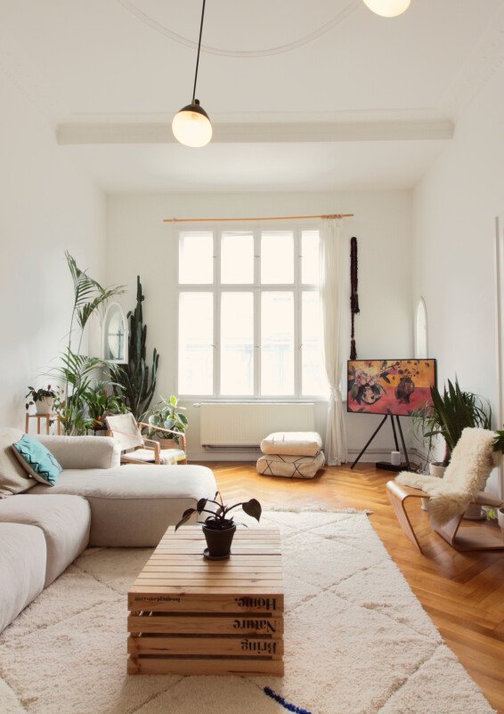 100sqm Indoor Jungle