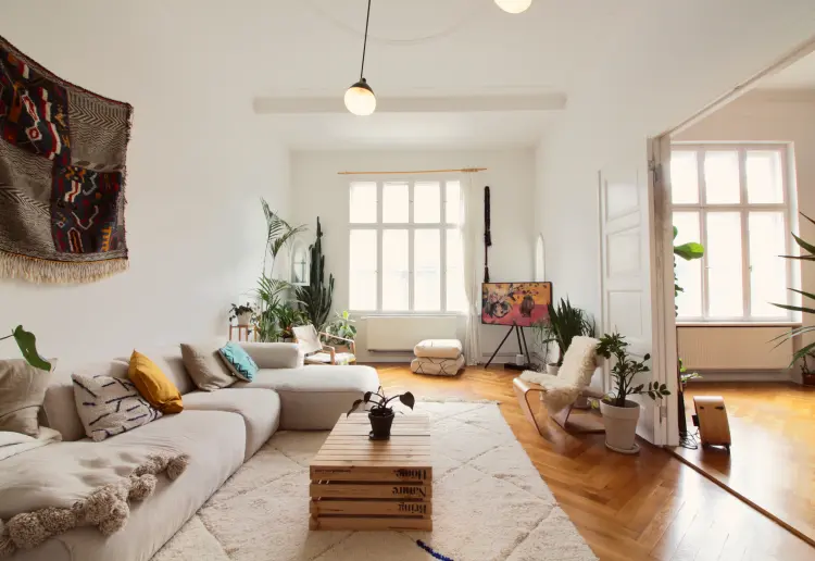 100sqm Indoor Jungle