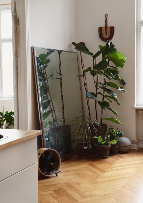 100sqm Indoor Jungle
