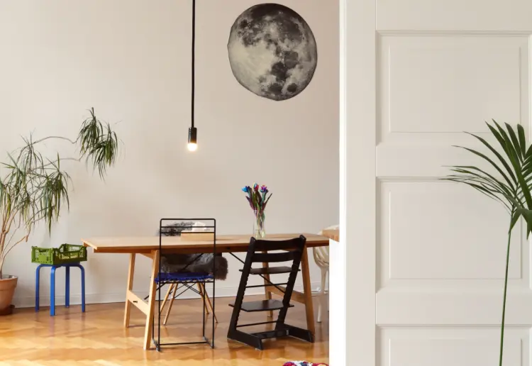 100sqm Indoor Jungle