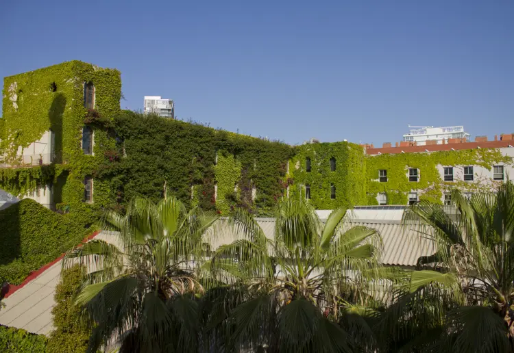 ESPACIO IDEAL WORKSHOPS Y REUNIONES EN PALO ALTO  - Poblenou