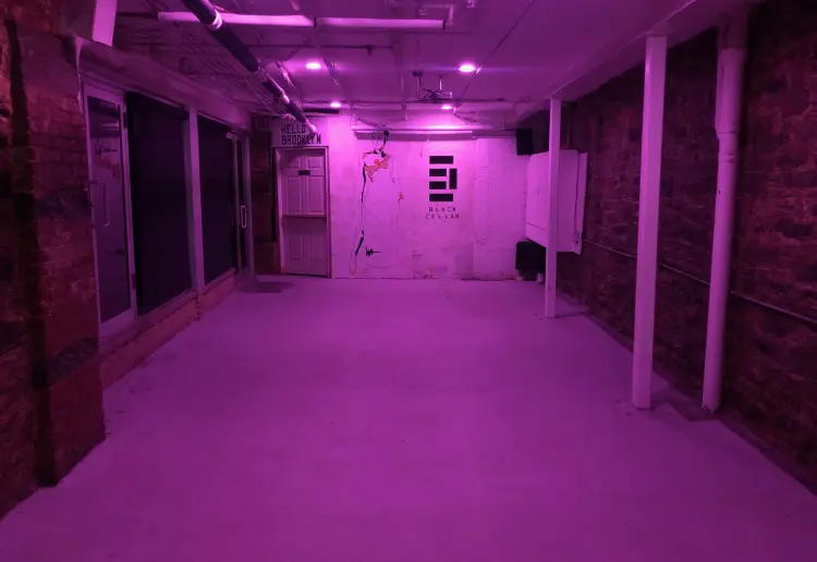 Creative Underground Cellar