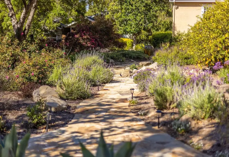 Garden Compound With Several Stunning Backdrops