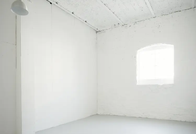 Studio D