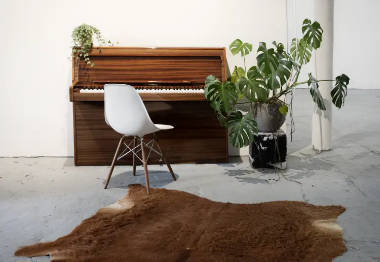 The Lounge