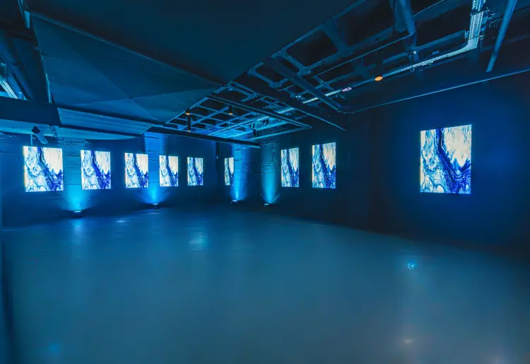 P61 Gallery