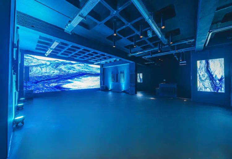 P61 Gallery