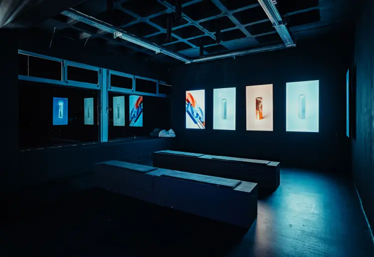 P61 Gallery
