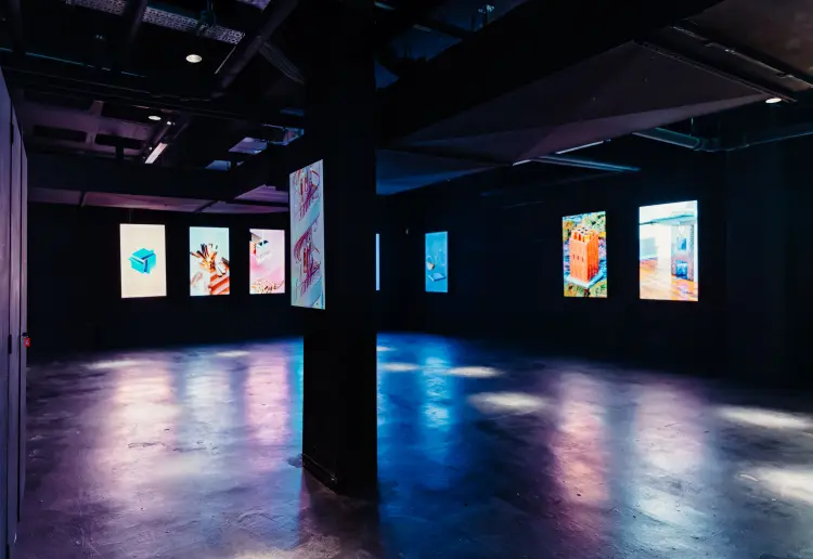 P61 Gallery