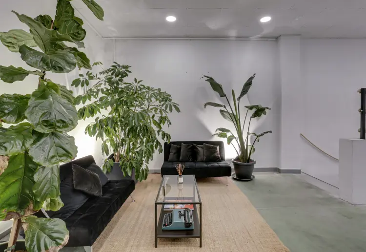 Espacio multiusos, luminoso e industrial