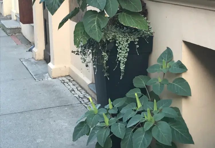 Pop-up Space in Berlin-Mitte nähe Hackescher Markt