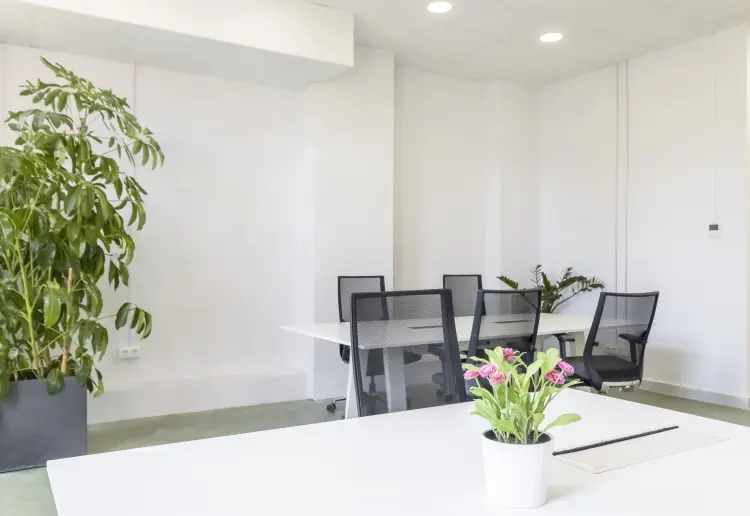 MadBunker es un espacio versátil que se adapta a cualquier visión creativa