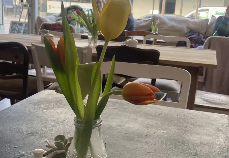 Gemütliche Café-Location für Events, Pop-Ups, Meetings. Flexibel, zentral, komplett ausgestattet.