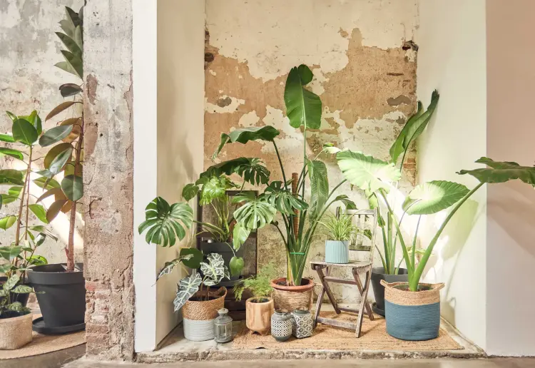 Warehouse with Character and Elegance in the Center of BCN