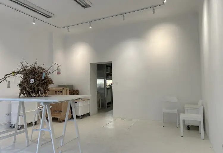 Gallery Store White Space
