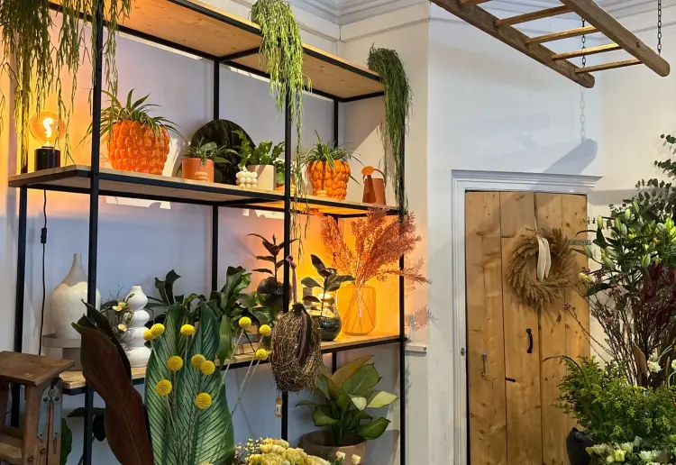 Ottensens Perle: Pop-Up Store im Herzen des Szeneviertels